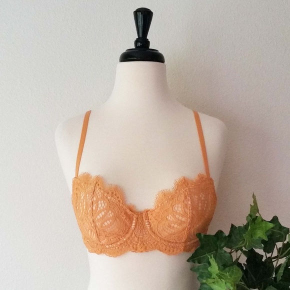 Victoria's Secret Other - NWT! Dream Angels Push Up Without Padding Bra; 32D